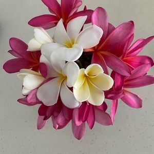 Meet your Posher, Lorraine